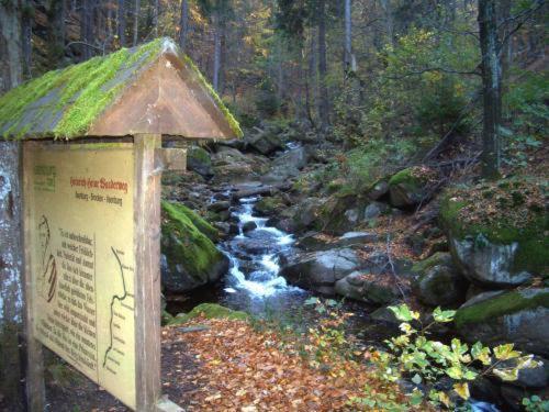 Kurpark Flair Hotel Im Ilsetal Ilsenburg Eksteriør bilde